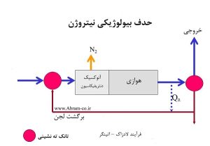 فرآیند شارون