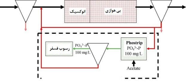 مقدمه‌ای بر فرآیند فوستریپ