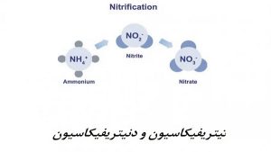 فرآیند نیتریفیکاسیون-دنیتریفیکاسیون همزمان (SND)